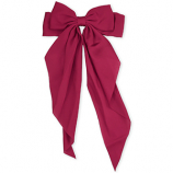 Accessoires pour cheveux 