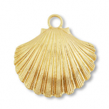 Coquillage Doré