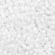 Perles Miyuki delicas 11/0 Matte AB white DB-351-1