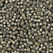 Perles de rocailles Miyuki 11/0 Silverlined alabaster dyed rustic grey 11-650