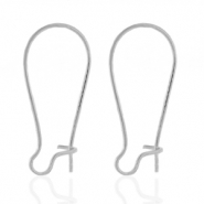 Boucles d'oreilles en acier inox Argenté