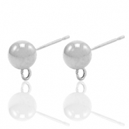 Boucles d'oreilles en acier Inox avec anneau Argenté