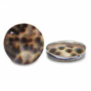 Perles coquillage 20mm Marron