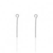Apprêts en acier Inox clou à tête ronde 30mm Argenté