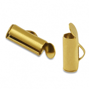 Apprêts en acier inox embout Doré