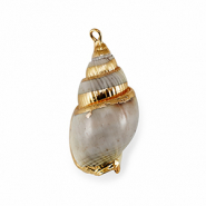 Pendentifs coquillage specials Gris-doré