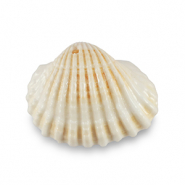 Pendentifs coquillage specials Coquille Saint-Jacques Blanc crème