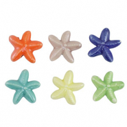 Perles en céramique étoile de mer Multicolore