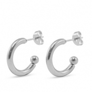 Boucles d'oreilles puces en acier Inox Argenté