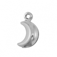 Breloques en acier Inox lune Argenté