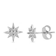 Boucles d'oreilles / puces d’oreilles en acier Inox étoile Argenté