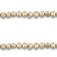 Perles d'eau douce nugget ovale Gris verdâtre clair