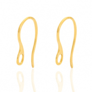 Boucles d'oreilles en acier Inox avec anneau Doré