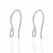 Boucles d'oreilles en acier Inox avec anneau Argenté