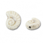 Perles en céramique coquille Blanc cassé