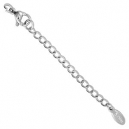 Apprêts en acier inox chaînette d'extension médaillon ovale avec fermoir mousqueton Argenté