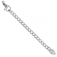 Apprêts en acier inox chaînette d'extension médaillon ovale avec fermoir mousqueton Argenté