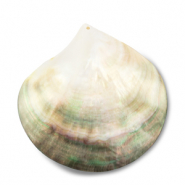 Pendentifs coquillage nacr&eacute; Blanc (couleur naturelle)-marron clair-marron fonc&eacute;