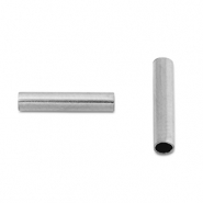 Perles en acier Inox tubes 8mm Argenté