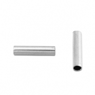 Perles en acier Inox tubes 8mm Argenté
