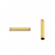Perles en acier Inox tubes 5mm Doré