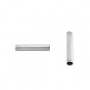 Perles en acier Inox tubes 5mm Argenté