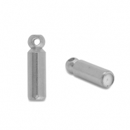 Apprêts en acier Inox embout pour broches / pins Argenté