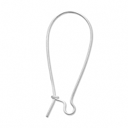 Apprêts en acier Inox boucles d'oreilles dormeuses Argenté