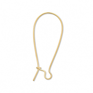 Apprêts en acier Inox boucles d'oreilles dormeuses Doré