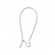 Apprêts en acier Inox boucles d'oreilles dormeuses Argenté