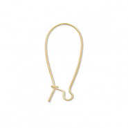Apprêts en acier Inox boucles d'oreilles dormeuses Doré