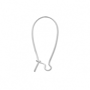 Apprêts en acier Inox boucles d'oreilles dormeuses Argenté