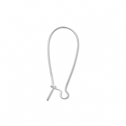 Apprêts en acier Inox boucles d'oreilles dormeuses Argenté