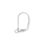 Apprêts en acier Inox boucles d'oreilles dormeuses avec anneau Argenté