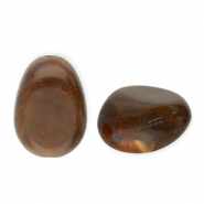 Perles acryliques en forme d'œuf Marron foncé-blanc