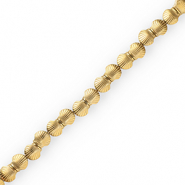 Perles hématites coquille Doré