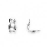 Apprêts en acier Inox calottes 2 mm Argenté