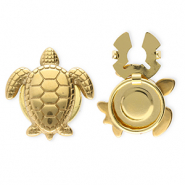 Cache-boutons en acier Inox tortue Doré