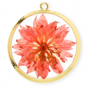 Pendentifs avec fleurs séchées 34 mm Doré-rouge corail vif