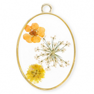 Pendentifs avec fleurs séchées ovale Doré-blanc cassé-orange doux-orange
