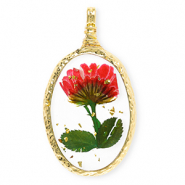 Pendentifs avec fleurs séchées ovale Doré-rouge-vert