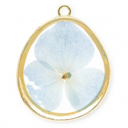 Pendentifs avec fleurs séchées en forme d'œuf Doré-bleu clair