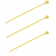 BY31® Apprêts en acier inox clous à tête boule 35 mm Doré