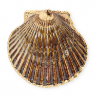 Pendentifs coquillage specials coquille Saint-Jacques Marron foncé-doré