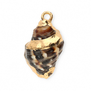 Pendentifs coquillage specials buccin Marron-doré