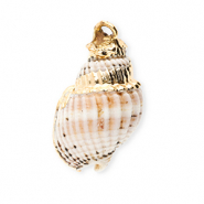 Pendentifs coquillage specials buccin Blanc cassé-doré