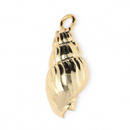 Pendentifs coquillage specials buccin Doré