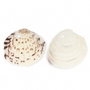 Pendentifs coquillage specials coque Blanc cassé-marron