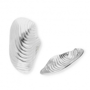Breloques en acier Inox coquillage Argenté