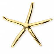 Broches accroche-regard en acier inox &eacute;toile de mer Dor&eacute;